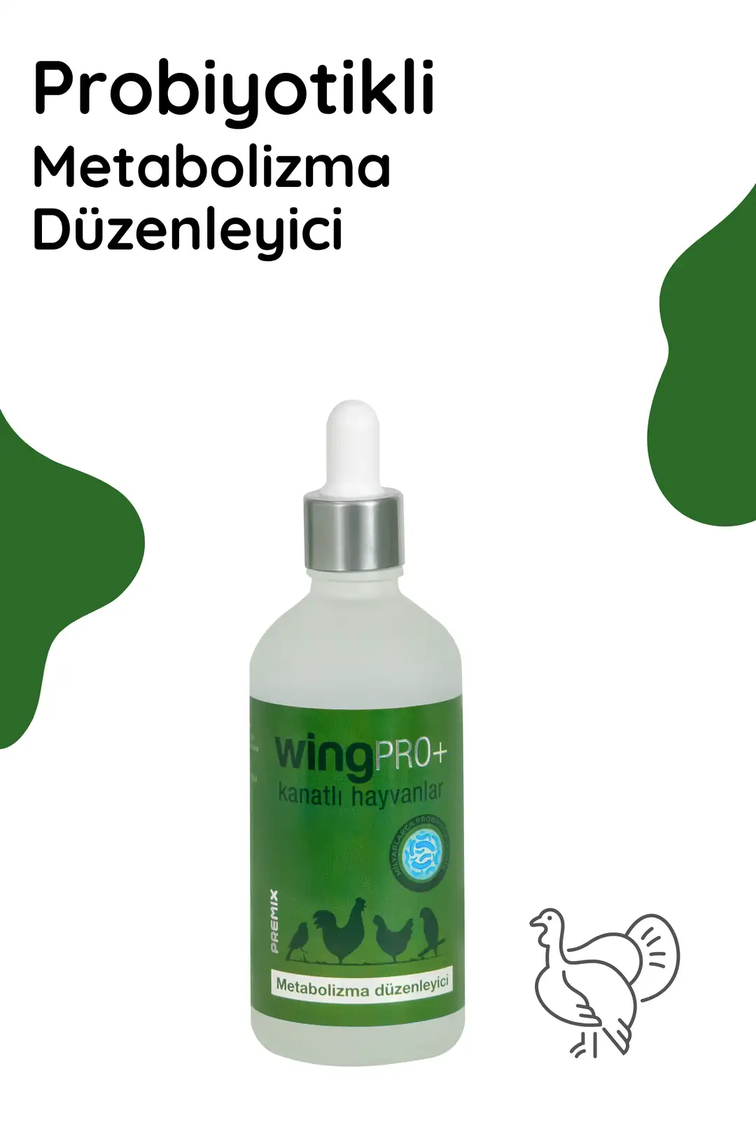 Uzun beside floranın ayakta tutulması