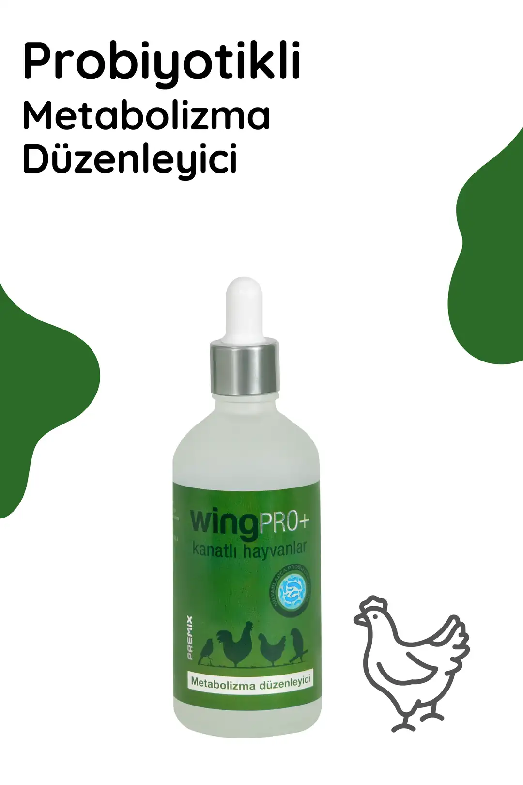 Yumurtacıda kabuk ve verim için düzenli